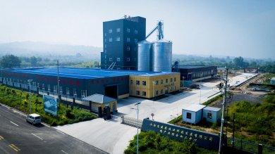 ����������غ龮�򣺵�����������������