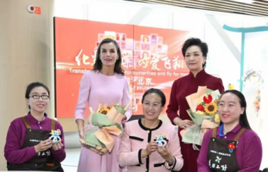 ����è���С�չʾ�������󣺽����й�����